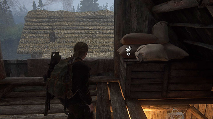 Go to the other end of the attic - The Last of Us 2: The Island - collectibles, artefacts, coins - Seattle Day 3 - Abby - The Last of Us 2 Guide