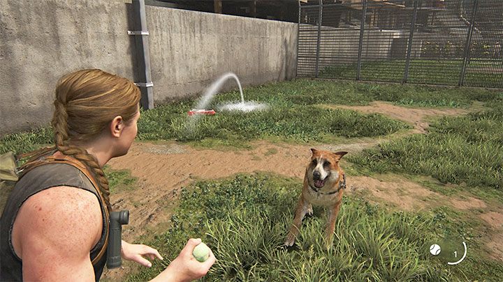 Abby hat viel mehr Möglichkeiten für friedlichen Kontakt mit Hunden, und das liegt daran, dass die WLF-Organisation, der sie angehört, defensive Hunde züchtet – The Last of Us 2: Hundeführer – Grundlagen – The Last of Us 2 Guide