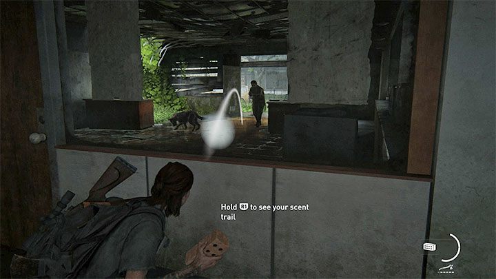 Wenn Sie nicht richtig reagieren, nachdem der Hund begonnen hat, Ellie zu verfolgen, kann dies dazu führen, dass sie entdeckt wird – Leitfaden zu The Last of Us 2: Hunde – Grundlagen – Leitfaden zu The Last of Us 2