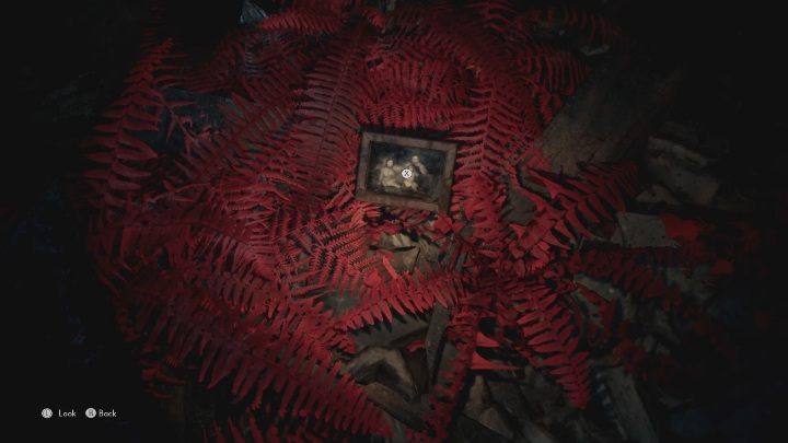 A family photo lies in the leaves, near the collapsed passage to the next part of the apartment - The Medium: Thomas house - walkthrough - Walkthrough - The Medium Guide