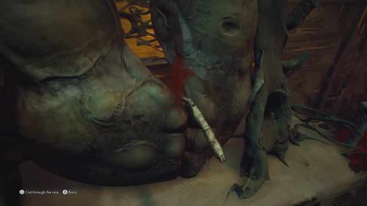 To get the Mask of Wonder, you must get four butterflies - The Medium: Thomas house - walkthrough - Walkthrough - The Medium Guide