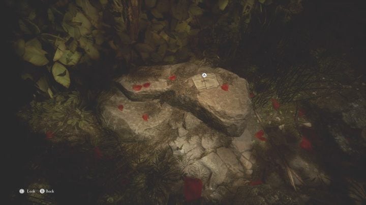 The last item is on a rock that should be easy to spot – there are petals of a red flower scattered around - The Medium: Richards House - walkthrough - The Medium Guide