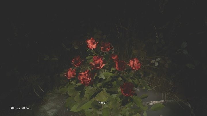 The last important element is the roses, which you will find on the final path - The Medium: Richards House - walkthrough - The Medium Guide