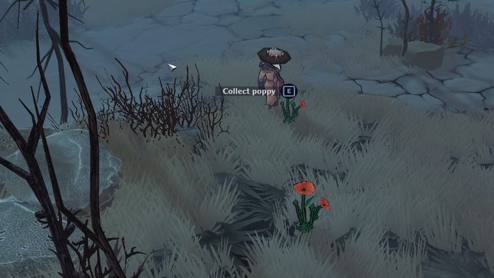 You can find the poppy, e - The Serpent Rogue: Ingredients for brewing potions - list - Potions - The Serpent Rogue Guide