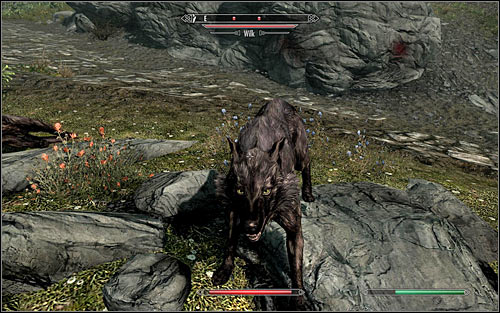 Keep heading north and be ready to fight off some Wolves (screen above) - Meeting with Alvor | Before the Storm - Before the Storm - The Elder Scrolls V: Skyrim Game Guide