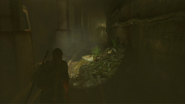 The Last of Us: The Capitol Building, The Outskirts Walkthrough, map ...