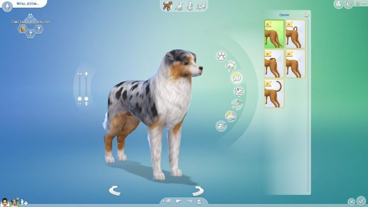 The Sims 4 Cats & Dogs: Pet edition and creation - breed, builds, color |  