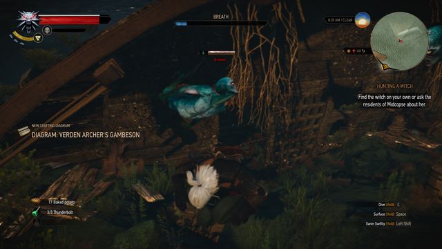 To reach the chest you must find a hole in the shipwreck. - The Witcher 3 Wild Hunt: Treasure hunt, Midcopse - walkthrough - Midcopse - The Witcher 3 Wild Hunt Guide