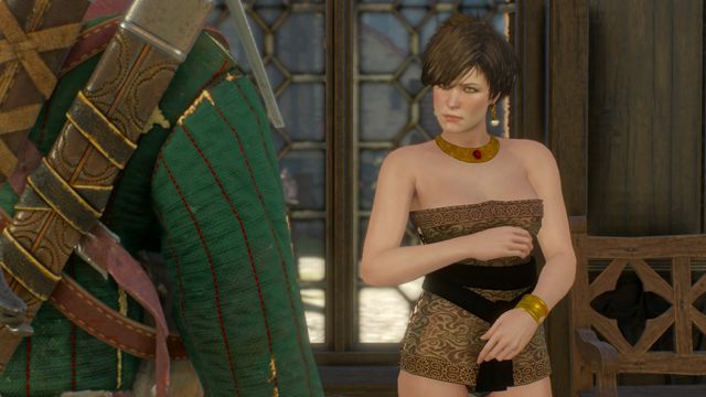 The witcher 3 sex mods