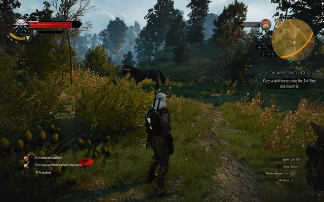 Pick any horse which you will take to the ghost - The Witcher 3 Wild Hunt: Side quests, Crookbag Bog - walkthrough - Crookback Bog - The Witcher 3 Wild Hunt Guide