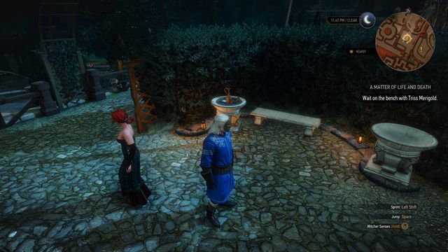 Wait with Triss for the right moment to act. - The Witcher 3 Wild Hunt: Side quests, Free City of Novigrad - walkthrough - Free City of Novigrad - The Witcher 3 Wild Hunt Guide & Walkthrough