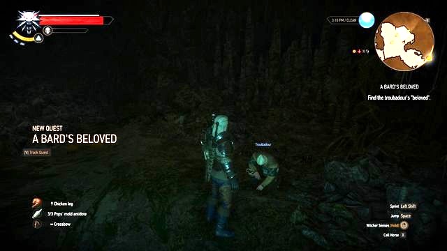 You will find the bard in the cave. - Side quests in Kaer Muire - Kaer Muire - The Witcher 3: Wild Hunt Game Guide & Walkthrough