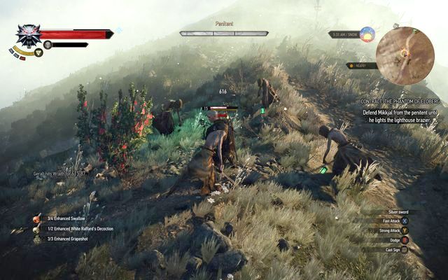 Pokutnik - Witcher contracts in Kaer Trolde - Kaer Trolde - The Witcher 3 Wild Hunt Guide & Walkthrough