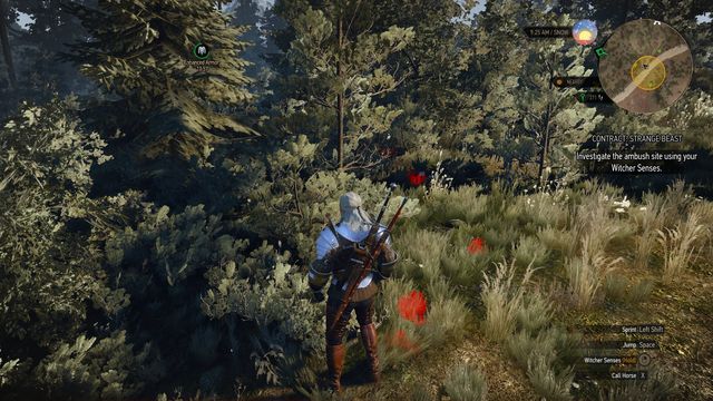 Follow the trail to the cave. - Witcher contracts in Hindarsfjall - Hindarsfjall - The Witcher 3: Wild Hunt Game Guide & Walkthrough