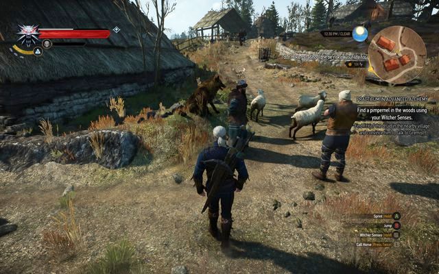 Fritjof - Practicum in Advanced Alchemy - side quest - Kaer Trolde - The Witcher 3 Wild Hunt Guide & Walkthrough