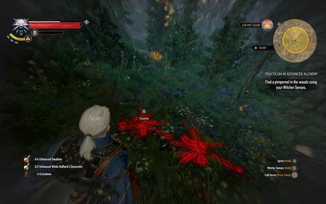 The plants remains in the forest - Practicum in Advanced Alchemy - side quest - Kaer Trolde - The Witcher 3 Wild Hunt Guide & Walkthrough