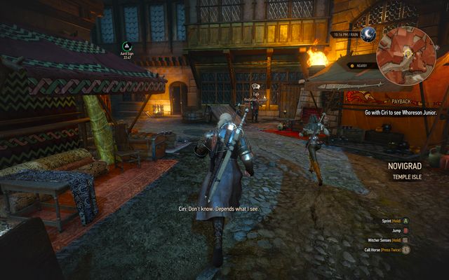 Go with Ciri to three places - Final Preparations - Epilogue - The Witcher 3 Wild Hunt Guide & Walkthrough