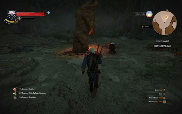 Defeat the druid and the bear in the caves - Side quests in Kaer Trolde - Kaer Trolde - The Witcher 3 Wild Hunt Guide & Walkthrough