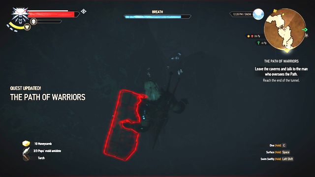 After you swim through the tunnel, dive again to find the chest. - The Witcher 3 Wild Hunt: Side quests in An Skellig - list, walkthrough - An Skellig - The Witcher 3 Wild Hunt Guide & Walkthrough