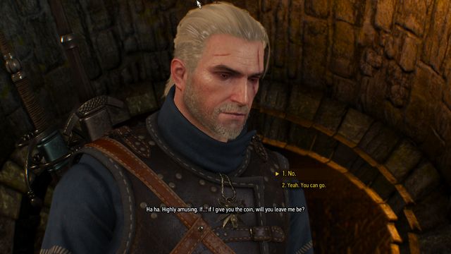 Decide about the thiefs fate - Side quests in Free City of Novigrad - Free City of Novigrad - The Witcher 3 Wild Hunt Guide & Walkthrough