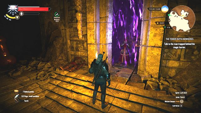 Talk to the mage trapped behind the magic barrier. - Side quests in An Skellig - An Skellig - The Witcher 3 Wild Hunt Guide & Walkthrough