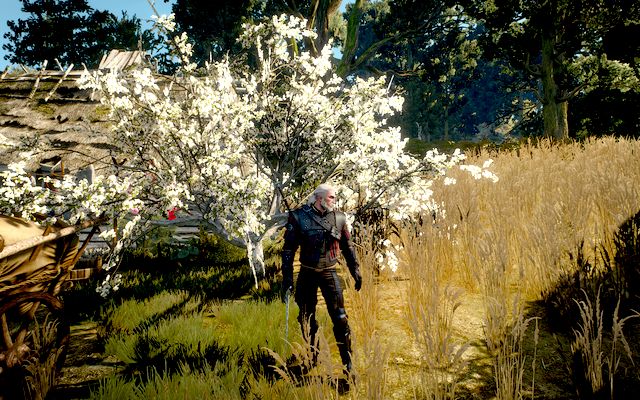Superior Wolven School Gear - Superior Wolf School Gear (DLC) - Wolf School Gear (DLC) - The Witcher 3 Wild Hunt Guide & Walkthrough