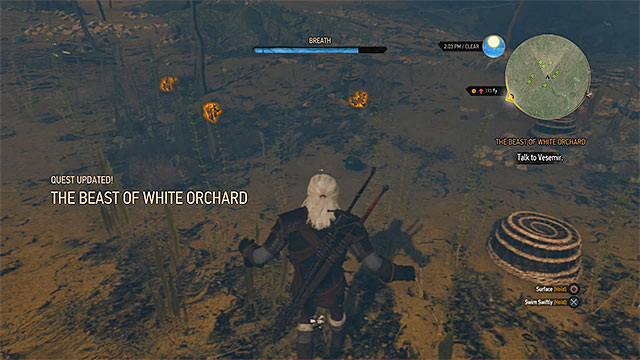 Buckthorn can be found diving so watch out for drowners - The Witcher 3 Wild Hunt: The Beast of White Orchard - walkthrough - Prologue and White Orchard - The Witcher 3 Wild Hunt Guide & Walkthrough