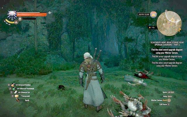 Cave - The Witcher 3 Wild Hunt: Mastercrafted Bear School Gear - Bear School Gear - The Witcher 3 Wild Hunt Guide & Walkthrough