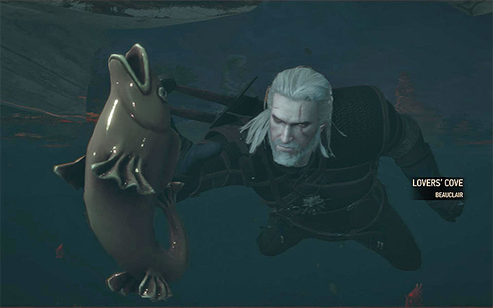 The fish you are looking for - The Beast of Toussaint - Main quests - The Witcher 3: Blood and Wine Game Guide