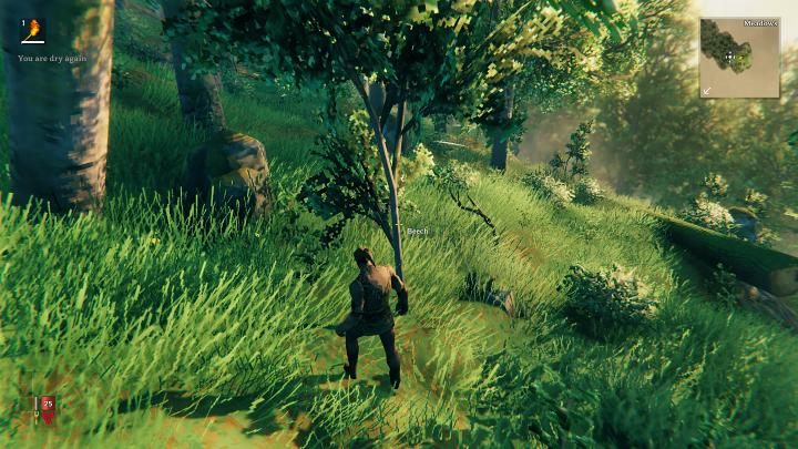 However, this is not the only way to get wood at the beginning of the game - Valheim: Day 1 - how to survive the beginning? Where to start? - Basics - Valheim Guide