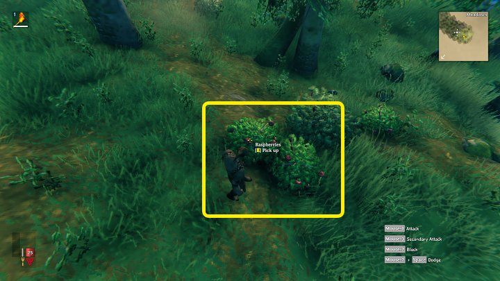 You will be able to find Raspberries and Mushrooms, which increase your character's maximum health and stamina, as early as in the starting location - Valheim: Food - how to get it, recipes - Basics - Valheim Guide
