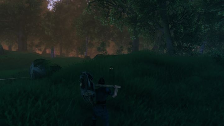 This biome also has stones, flints, mushrooms, raspberries, and dandelions - Valheim: Meadows Guide - resources, opponents - Biomes - Valheim Guide